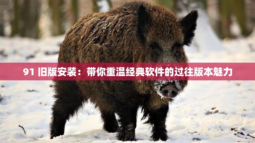 91 旧版安装：带你重温经典软件的过往版本魅力