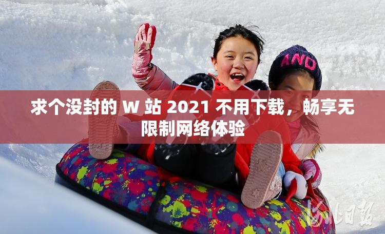求个没封的 W 站 2021 不用下载，畅享无限制网络体验