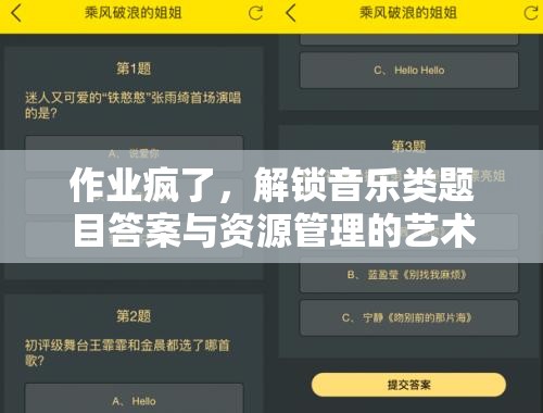 作业疯了，解锁音乐类题目答案与资源管理的艺术之道