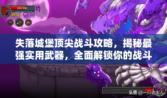 失落城堡顶尖战斗攻略，揭秘最强实用武器，全面解锁你的战斗潜能