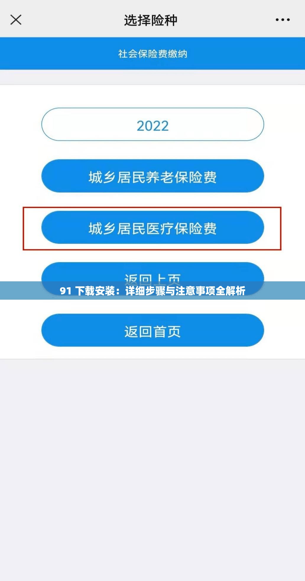 91 下载安装：详细步骤与注意事项全解析