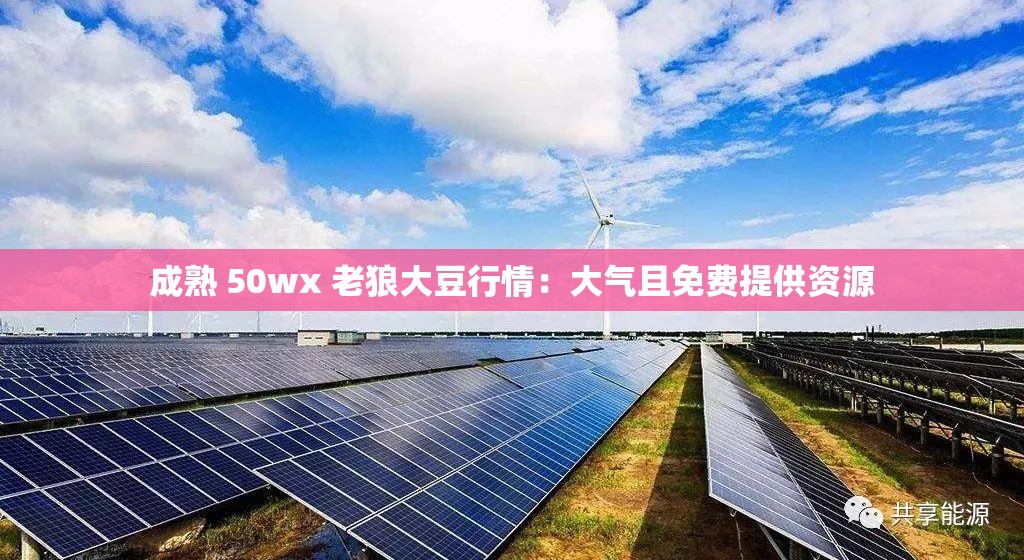 成熟 50wx 老狼大豆行情：大气且免费提供资源