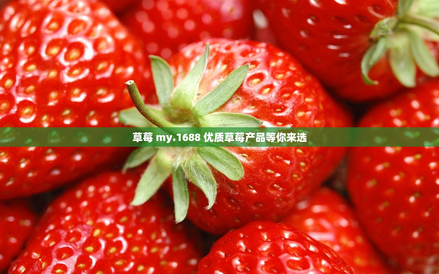 草莓 my.1688 优质草莓产品等你来选