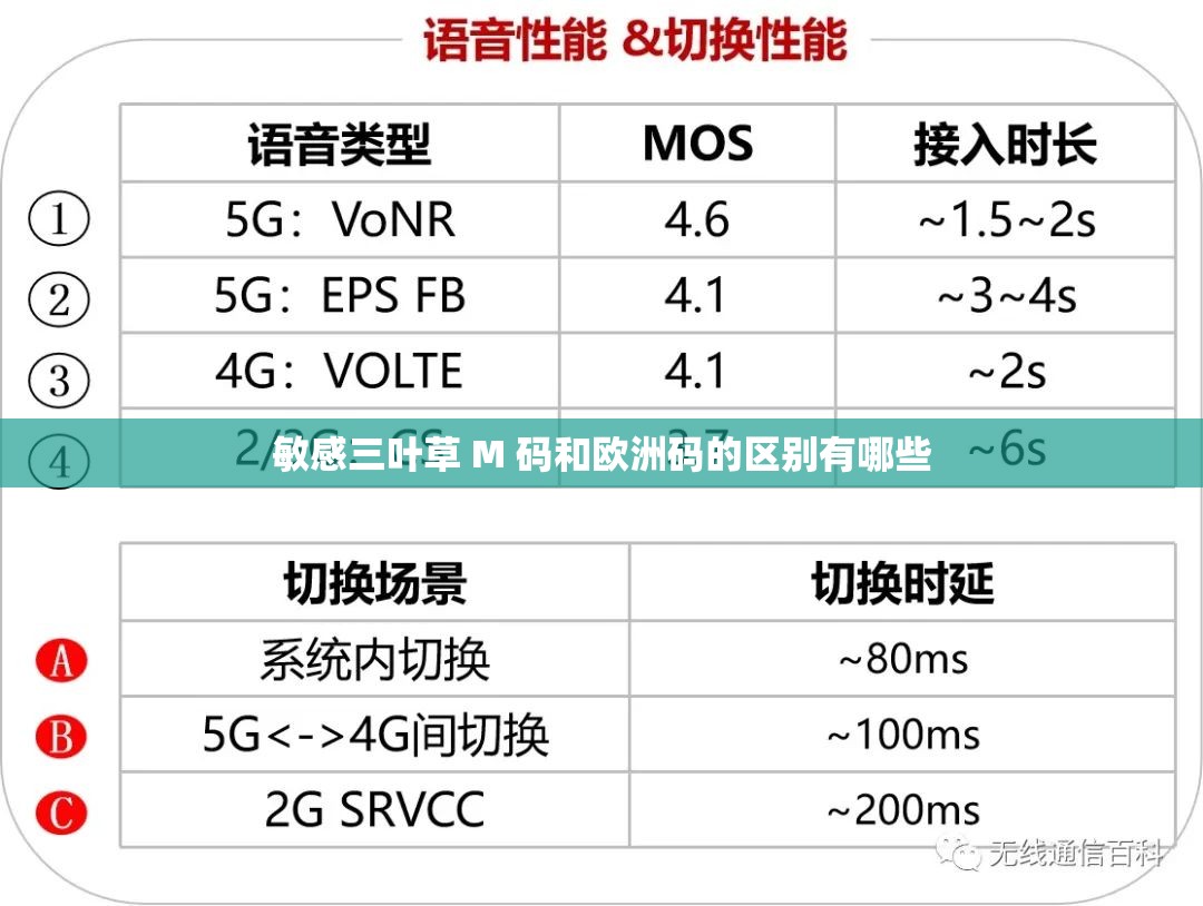 敏感三叶草 M 码和欧洲码的区别有哪些