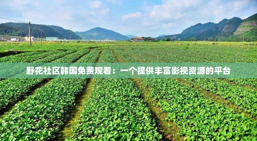 野花社区韩国免费观看：一个提供丰富影视资源的平台