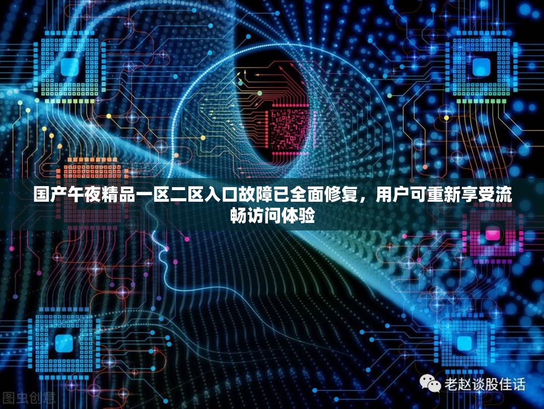 国产午夜精品一区二区入口故障已全面修复，用户可重新享受流畅访问体验