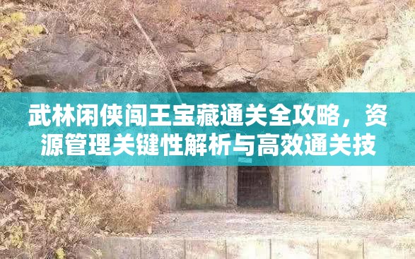 武林闲侠闯王宝藏通关全攻略，资源管理关键性解析与高效通关技巧分享